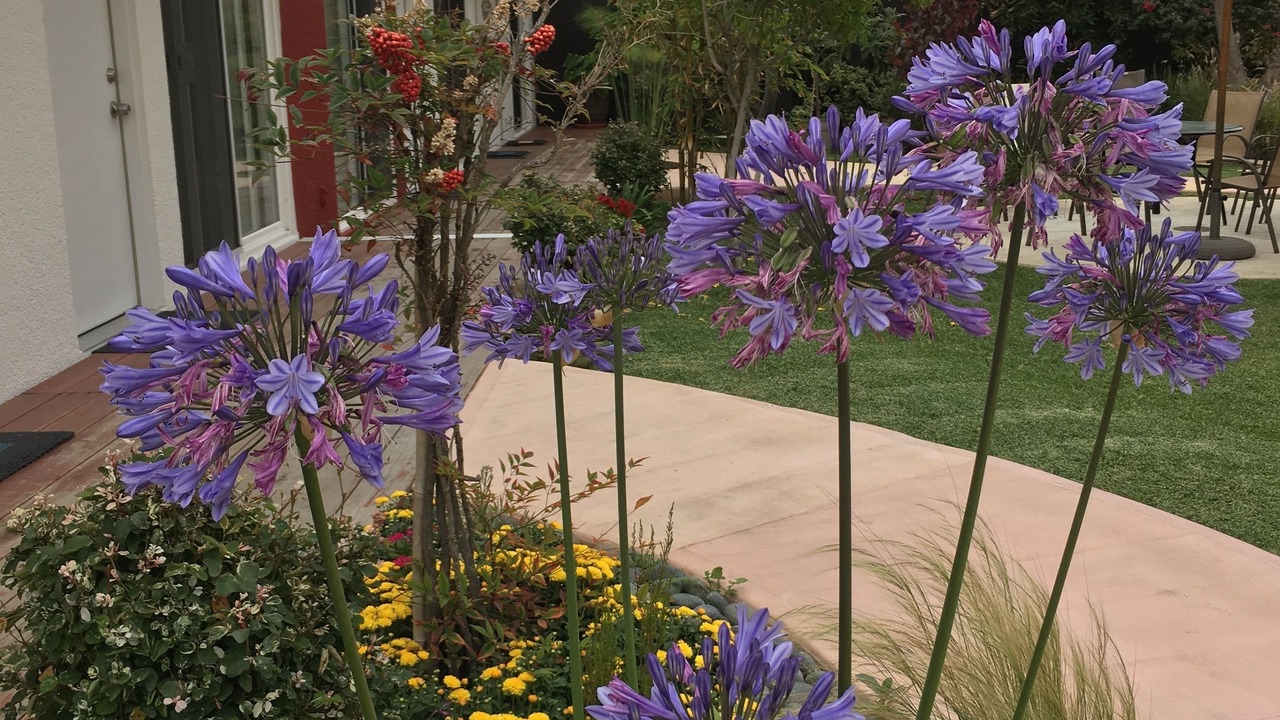 Photo of Outdoor in Playas de Tijuana