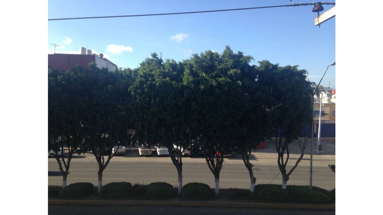 Photo of Others in Downtown Queretaro