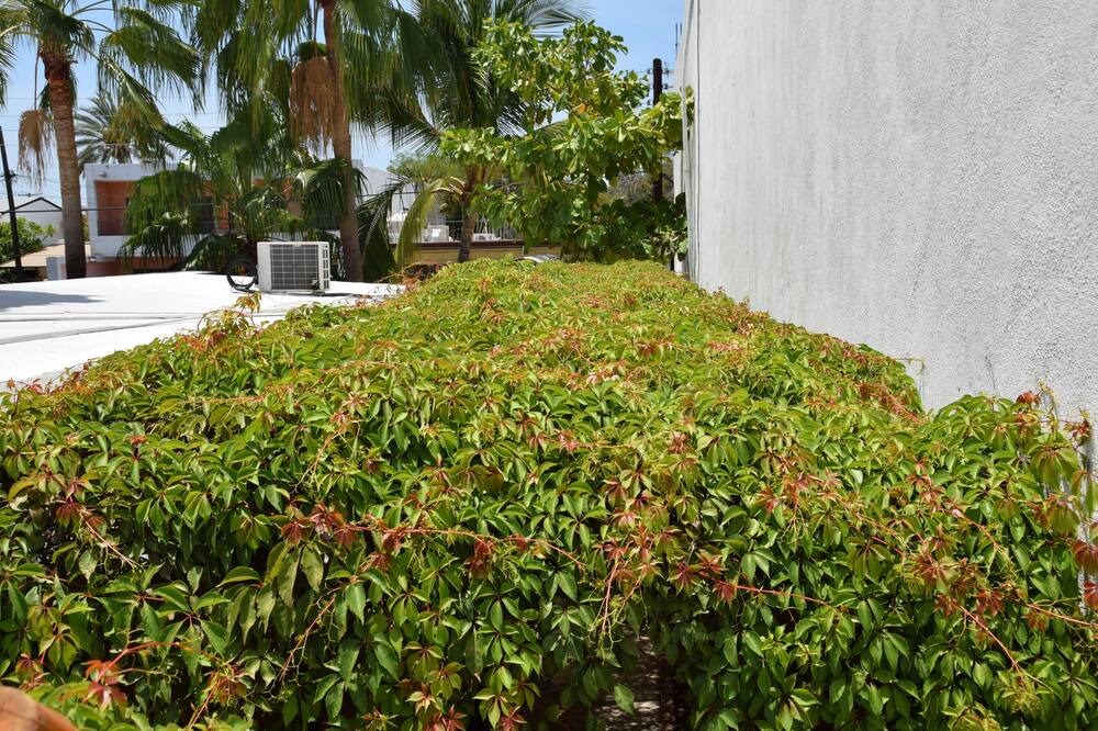 Photo of Outdoor in La Paz