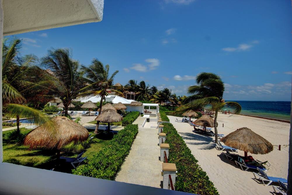 Photo of Others in Puerto Morelos