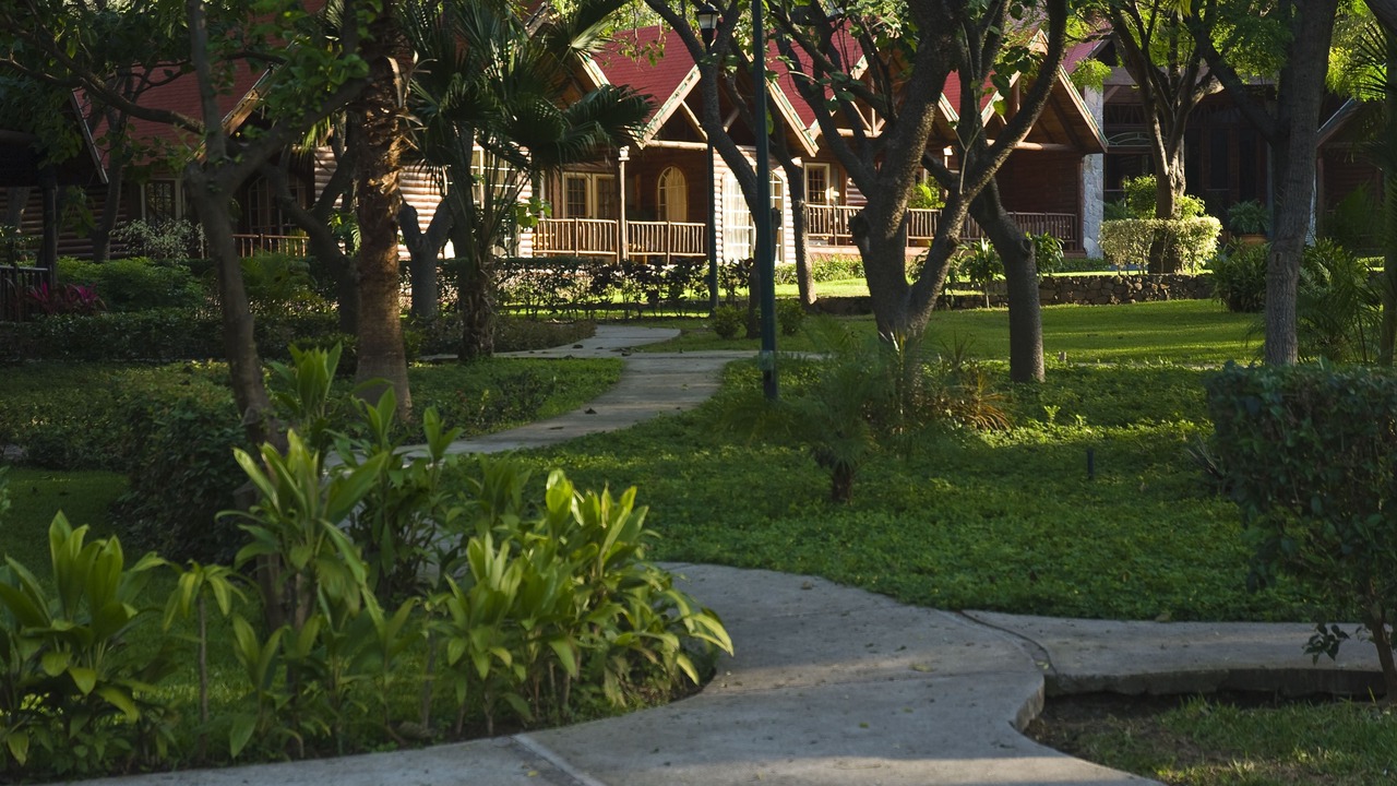 Photo of Outdoor in La Laguna