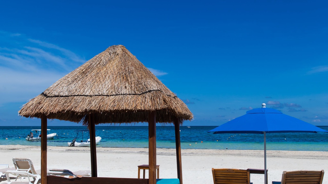 Photo of Others in Puerto Morelos