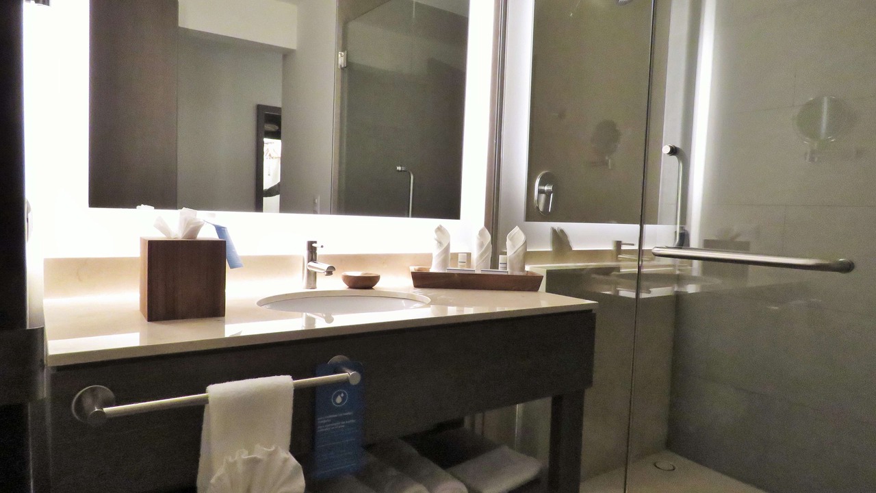Photo of Bathroom in Celaya