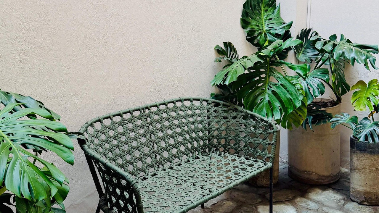 Photo of Patio Balcony in Colima