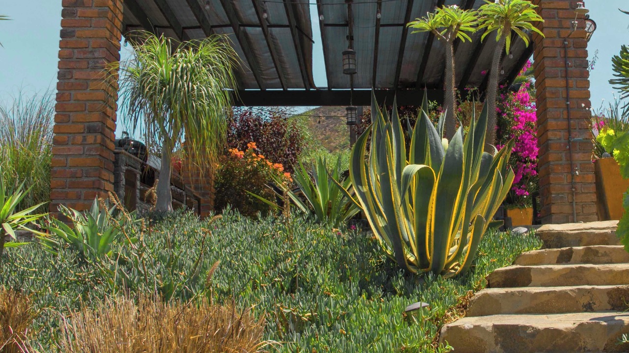 Photo of Outdoor in San Antonio de las Minas