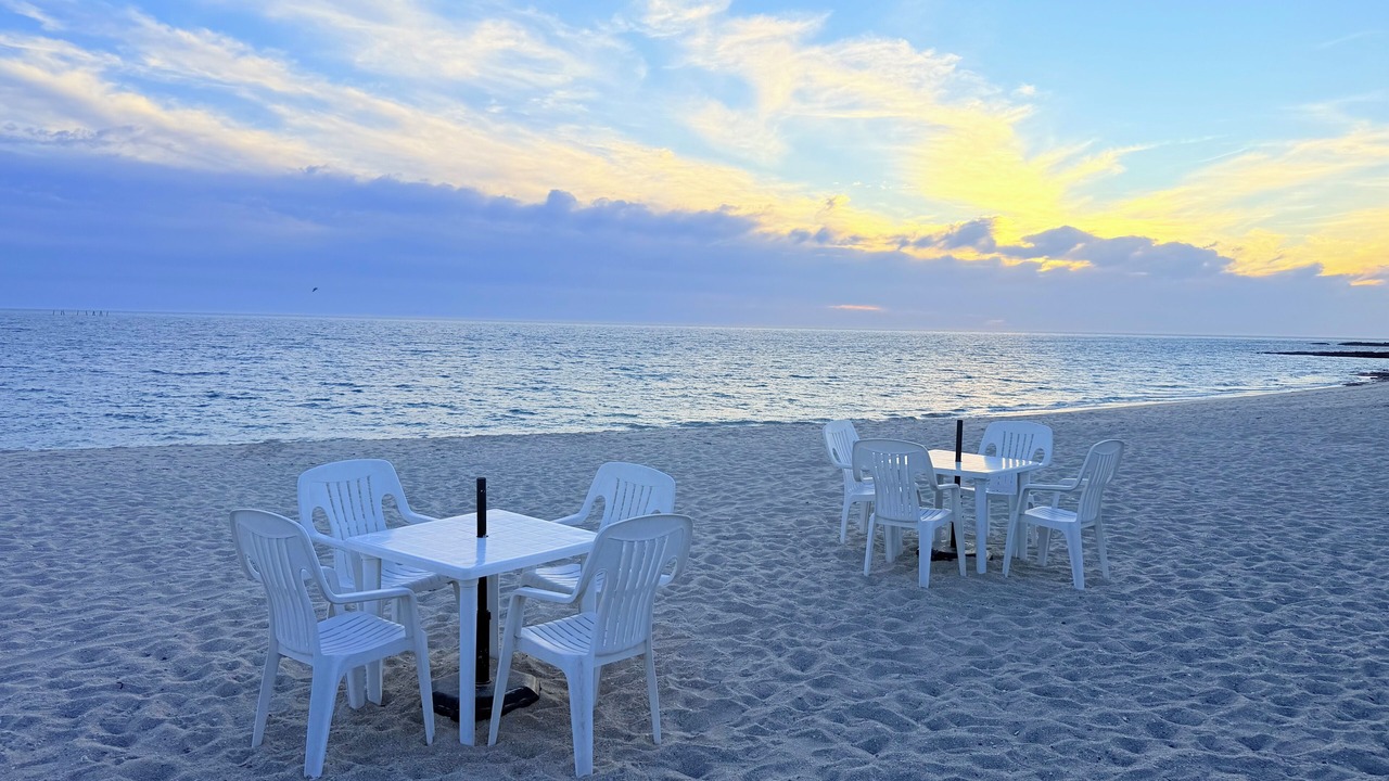 Photo of Others in Cholla Bay