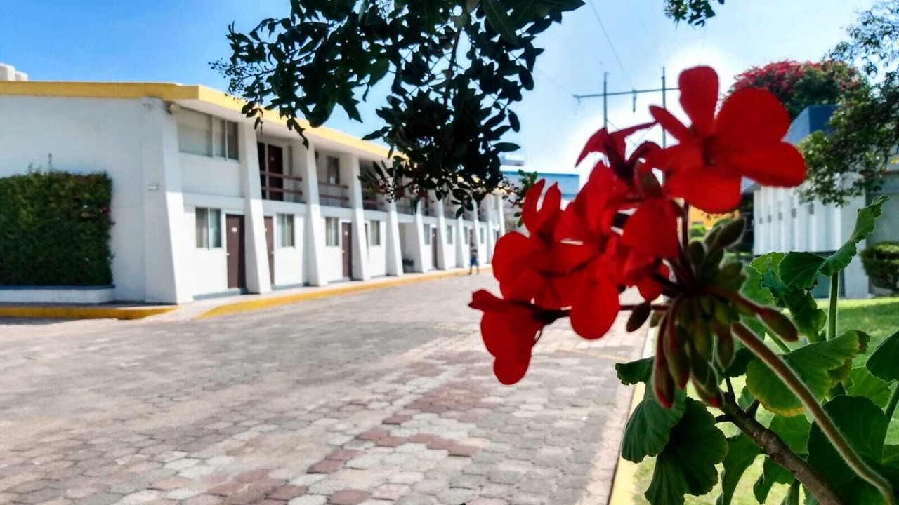 Photo of Outdoor in Celaya
