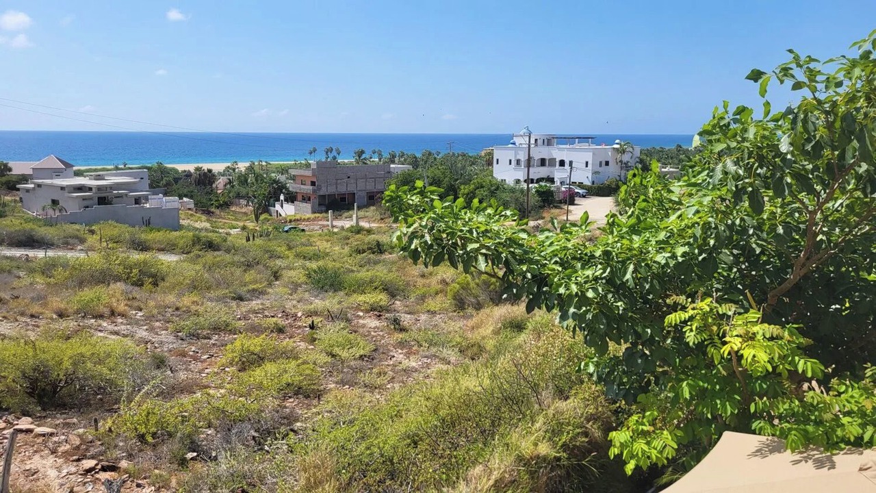 Photo of Others in Todos Santos