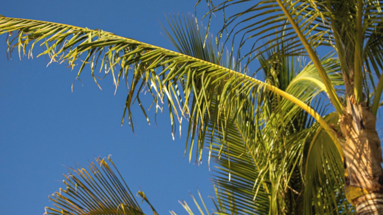 Photo of Outdoor in La Paz Municipality