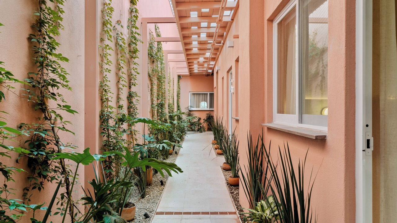 Photo of Outdoor in La Cruz