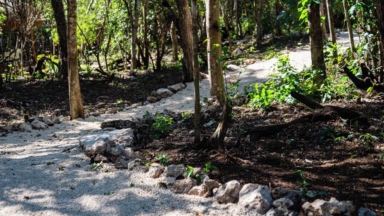 Photo of Outdoor in Akumal