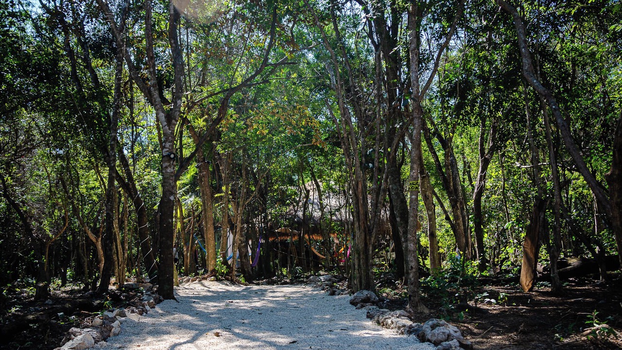 Photo of Outdoor in Akumal