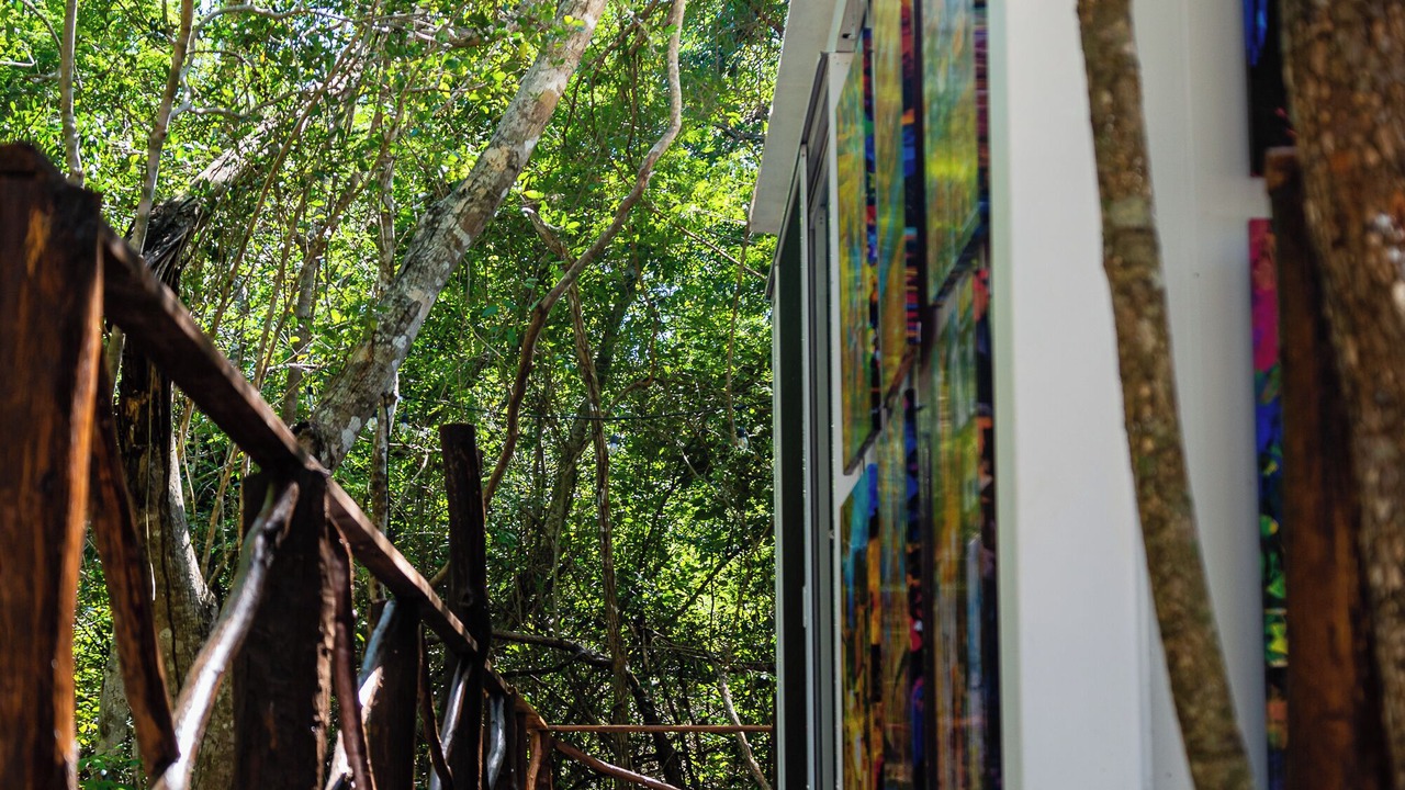 Photo of Outdoor in Akumal