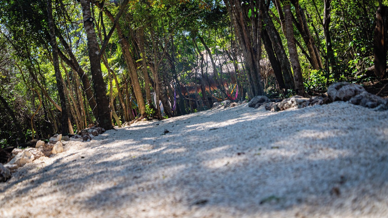 Photo of Outdoor in Akumal