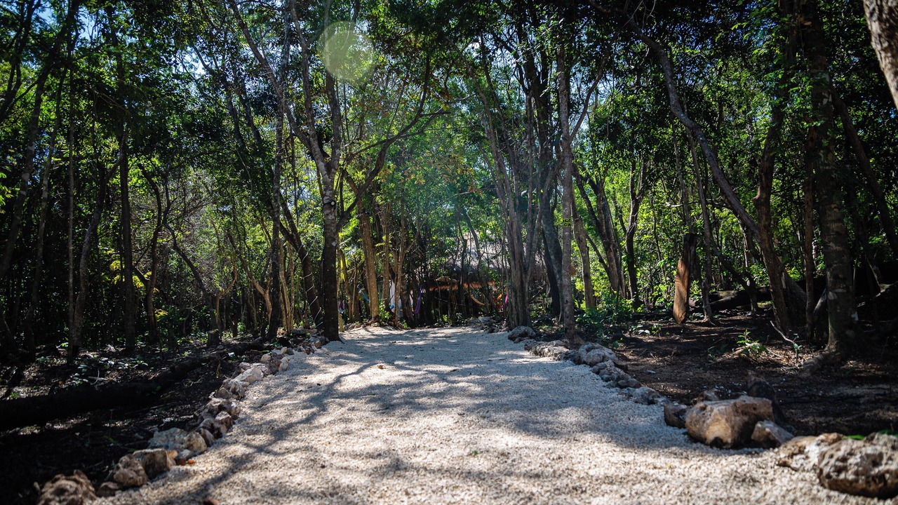 Photo of Outdoor in Akumal