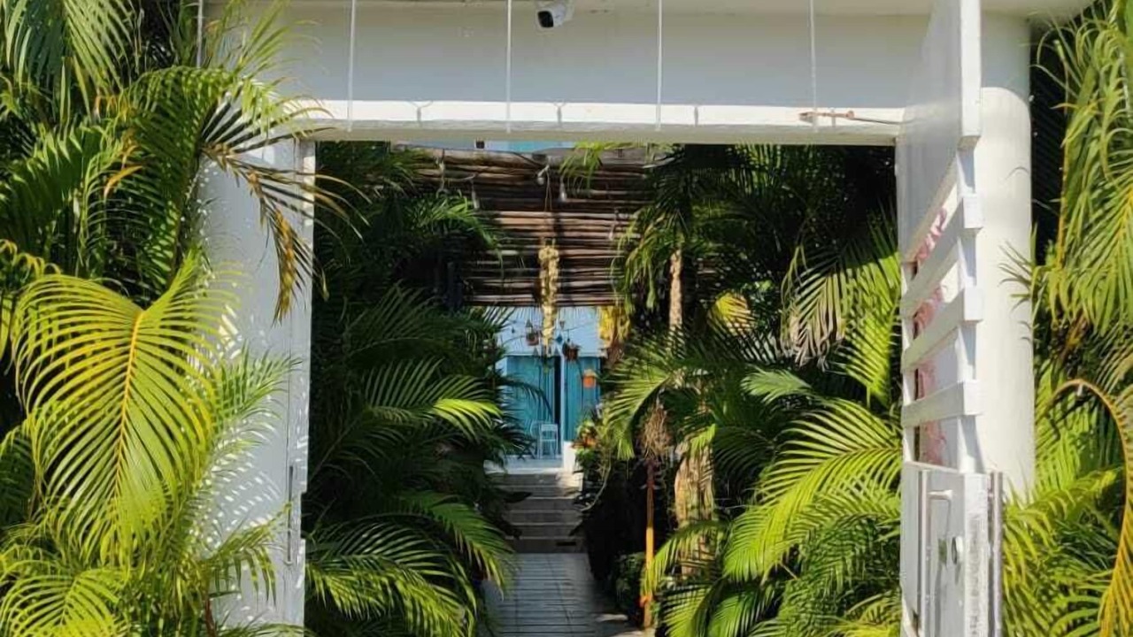 Photo of Outdoor in Playa Diamante