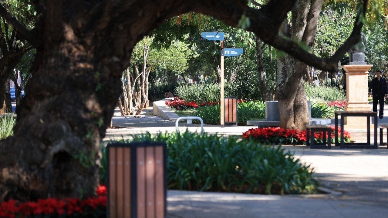 Photo of Others in Chapultepec Sur
