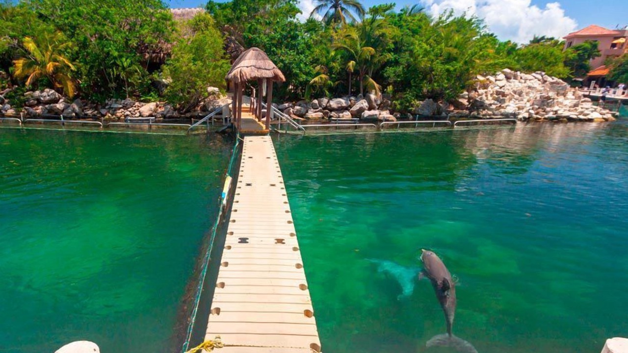 Photo of Outdoor in Puerto Aventuras