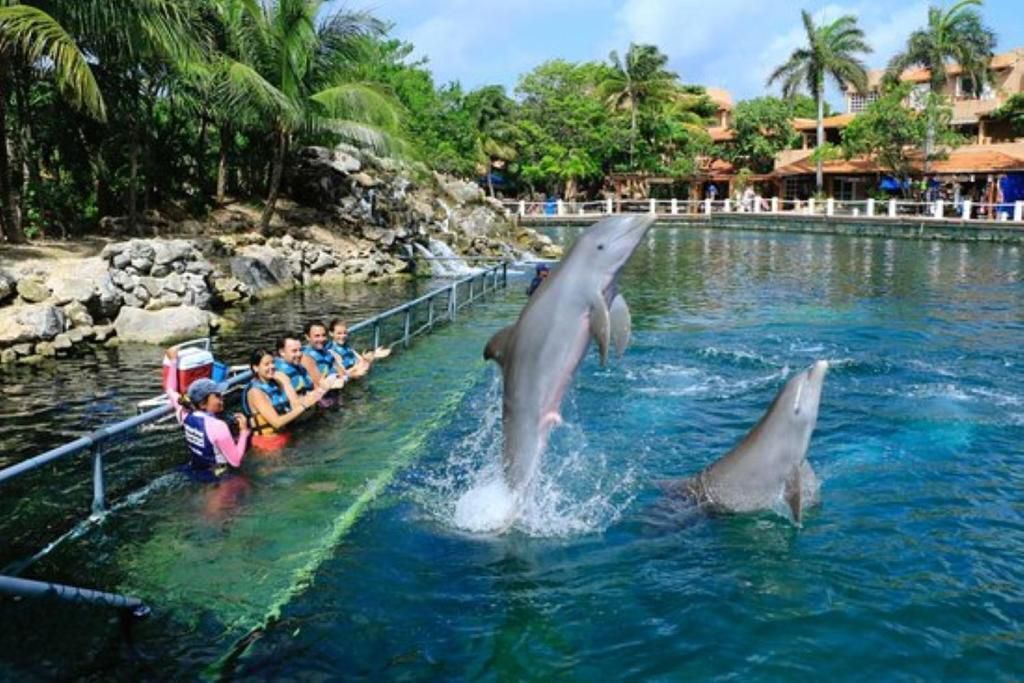 Photo of Outdoor in Puerto Aventuras