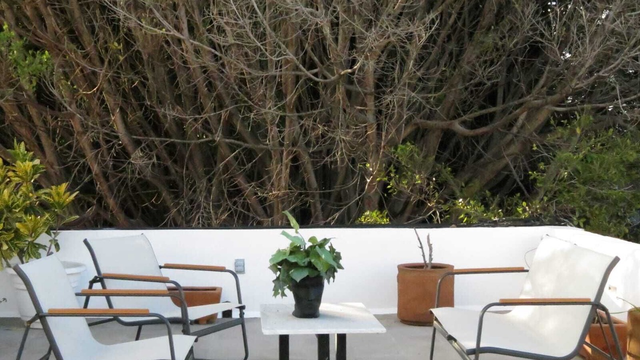Photo of Patio Balcony in Zona Centro