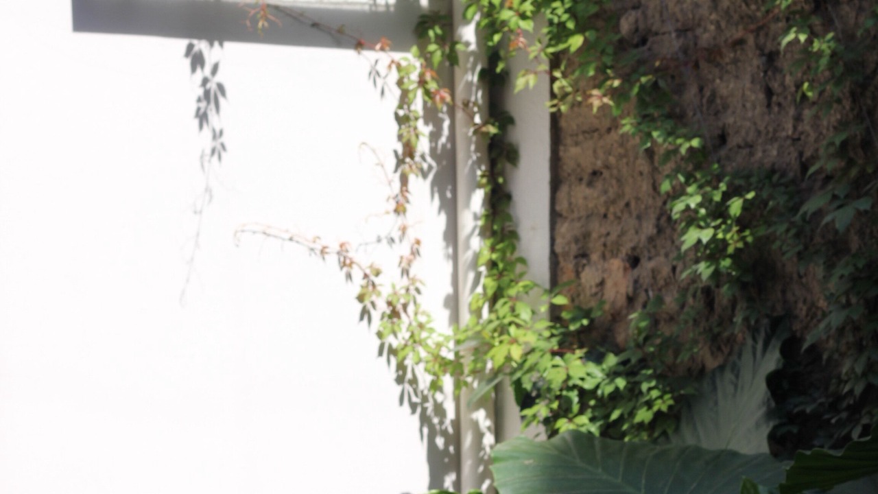 Photo of Outdoor in Santa Teresita