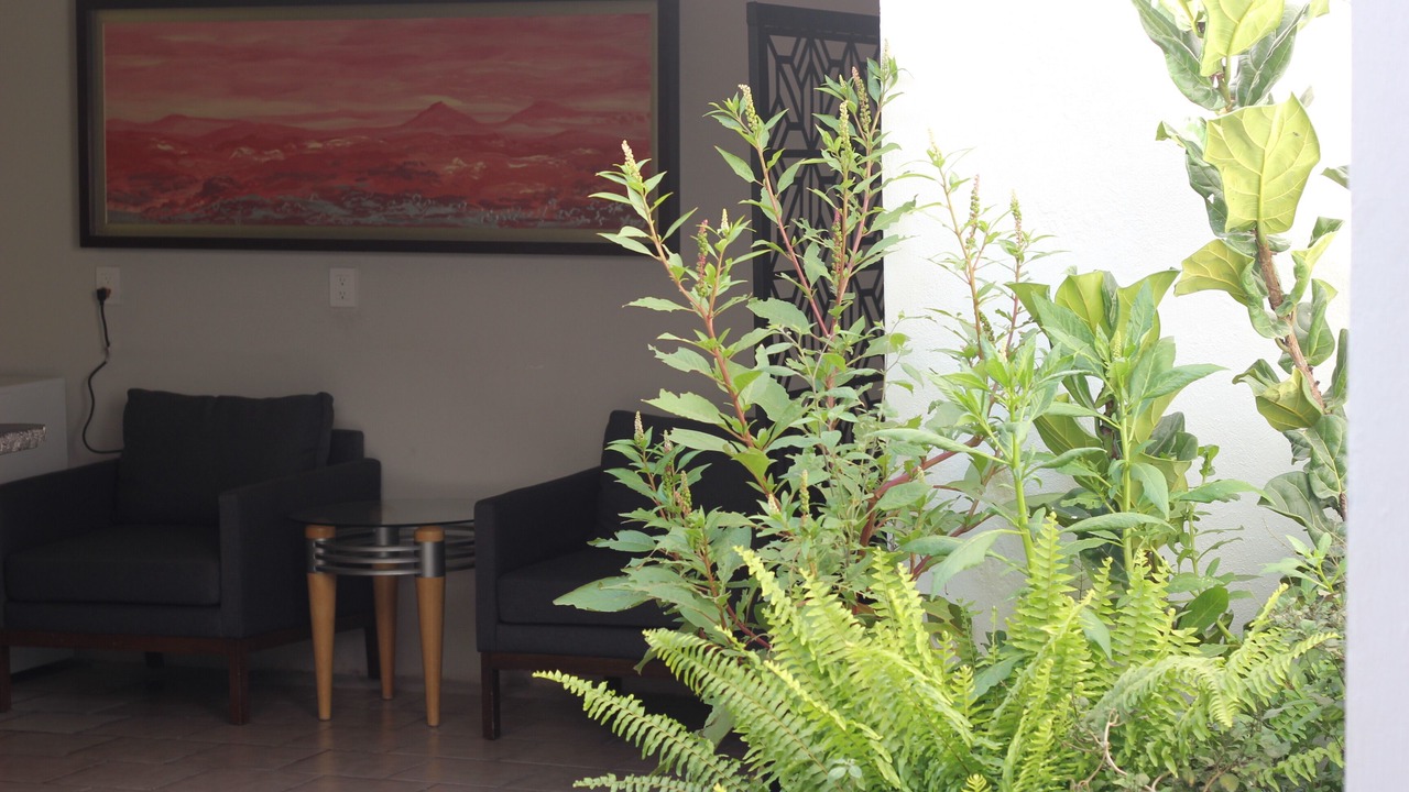 Photo of Outdoor in Santa Teresita