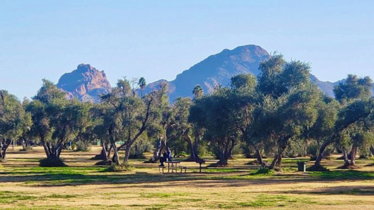 Photo of Others in Camelback East