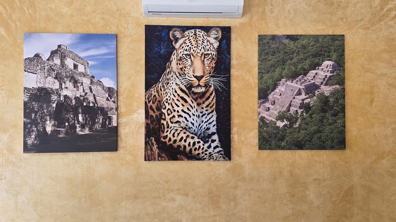 Photo of Others in Calakmul