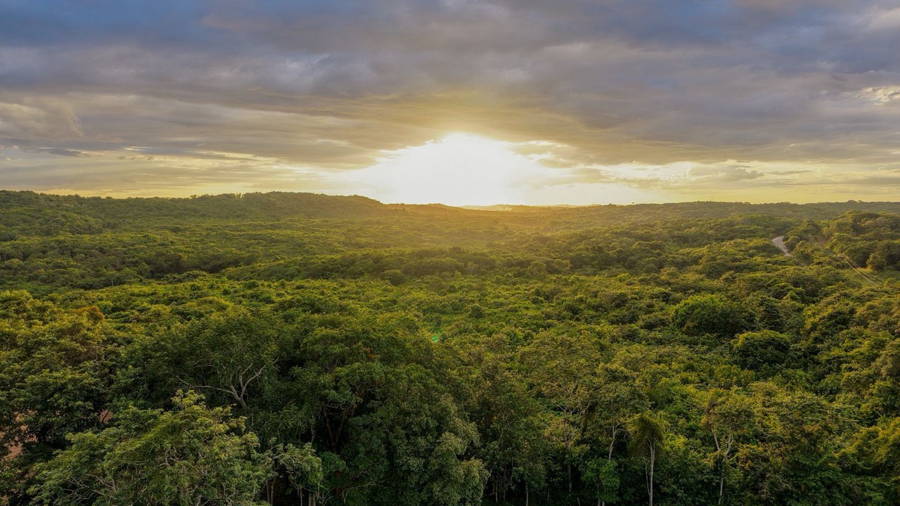 Photo of Outdoor in Calakmul