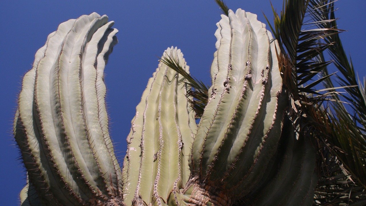 Photo of Outdoor in Pichilingue