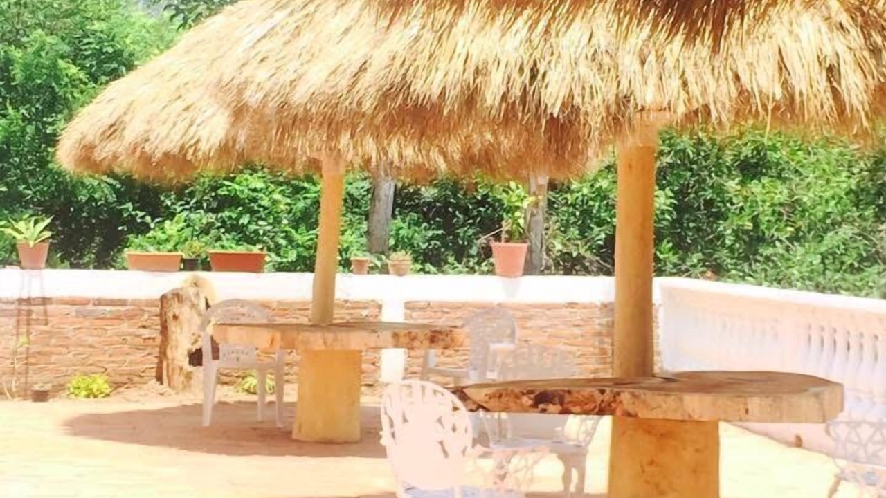 Photo of Patio Balcony in La Manzanilla