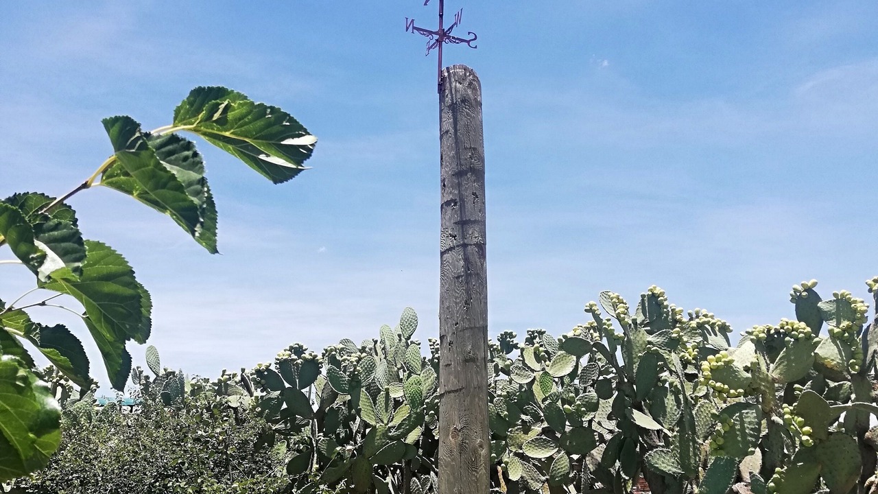 Photo of Outdoor in Pedro Escobedo