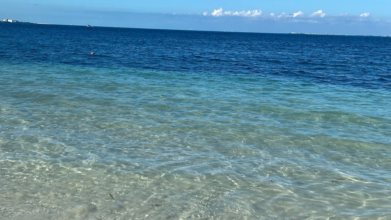 Photo of Outdoor in Puerto Morelos