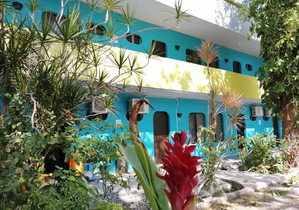 Photo of Patio Balcony in Tamuin