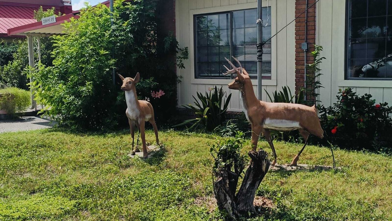 Photo of Outdoor in Pharr