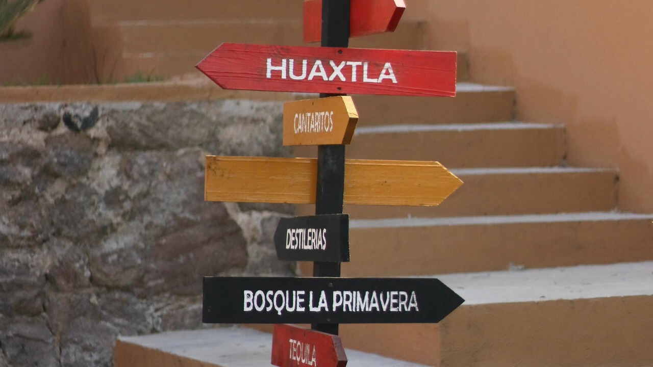 Photo of Outdoor in El Arenal