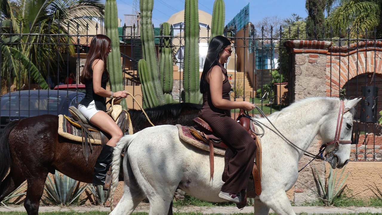 Photo of Others in El Arenal