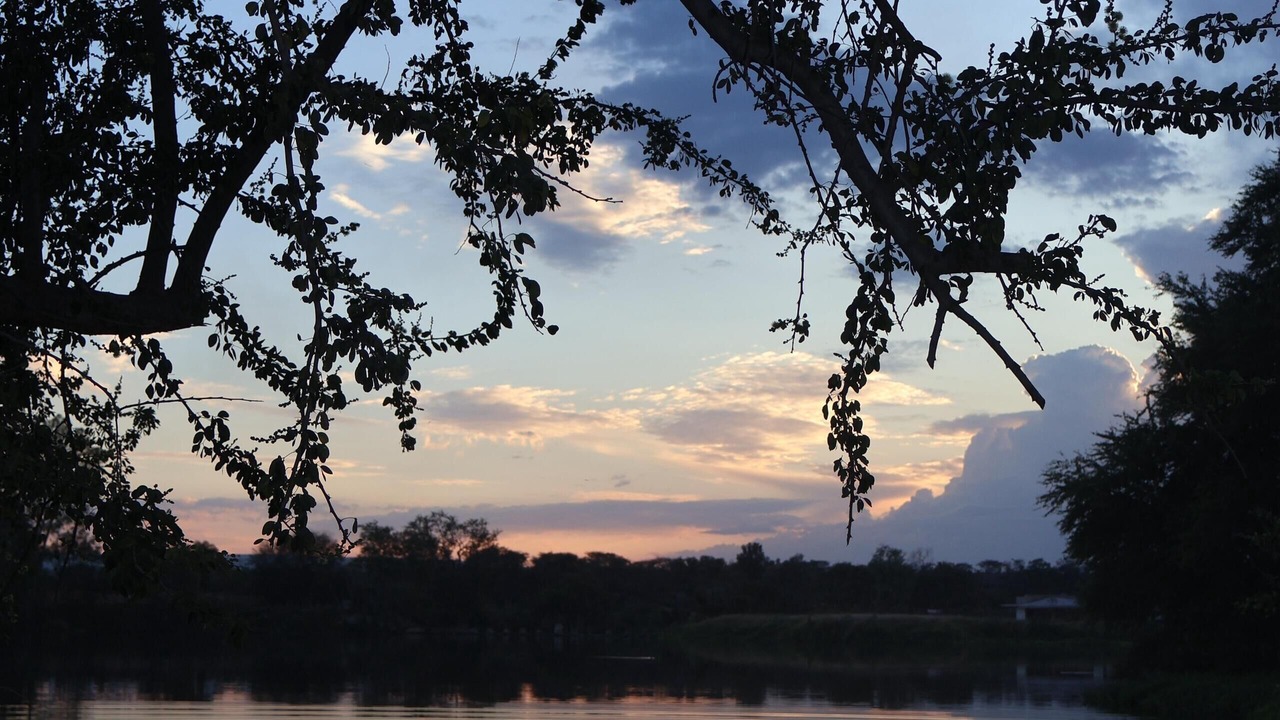 Photo of Outdoor in El Arenal