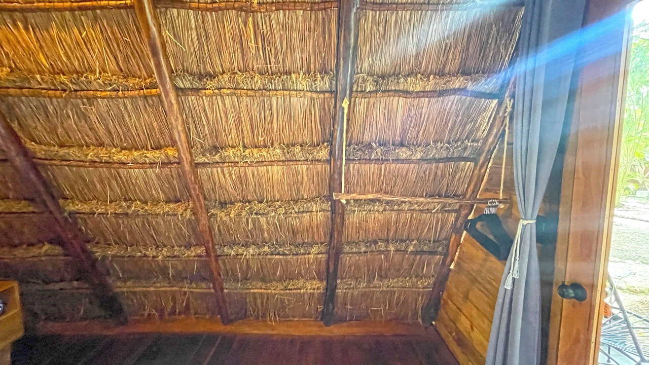 Photo of Others in Chetumal