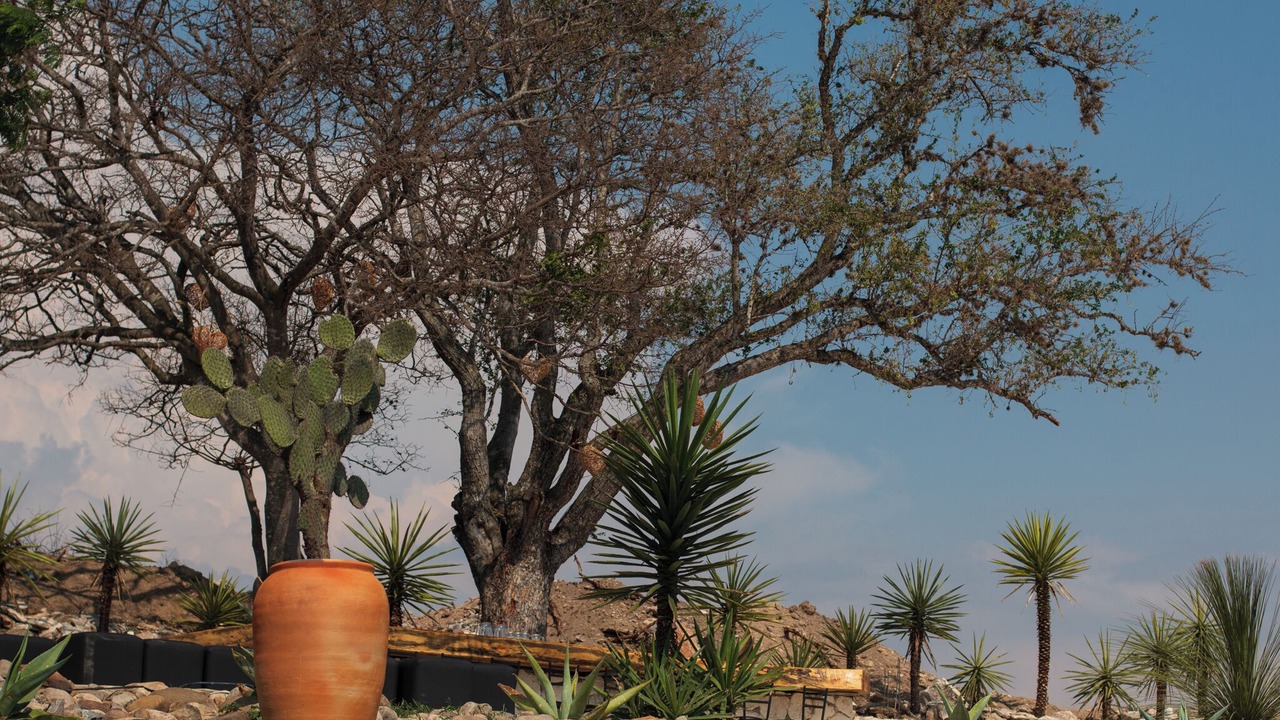 Photo of Outdoor in Miahuatlan de Porfirio Diaz