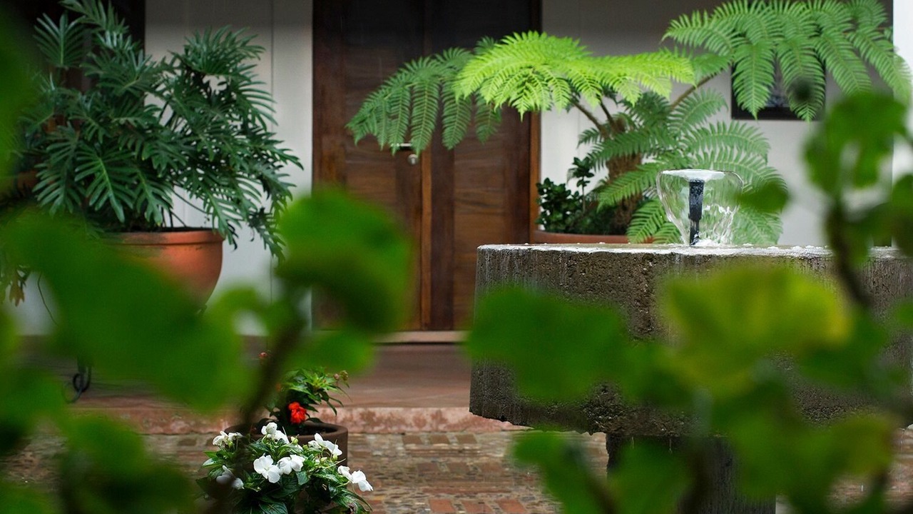 Photo of Outdoor in Mascota