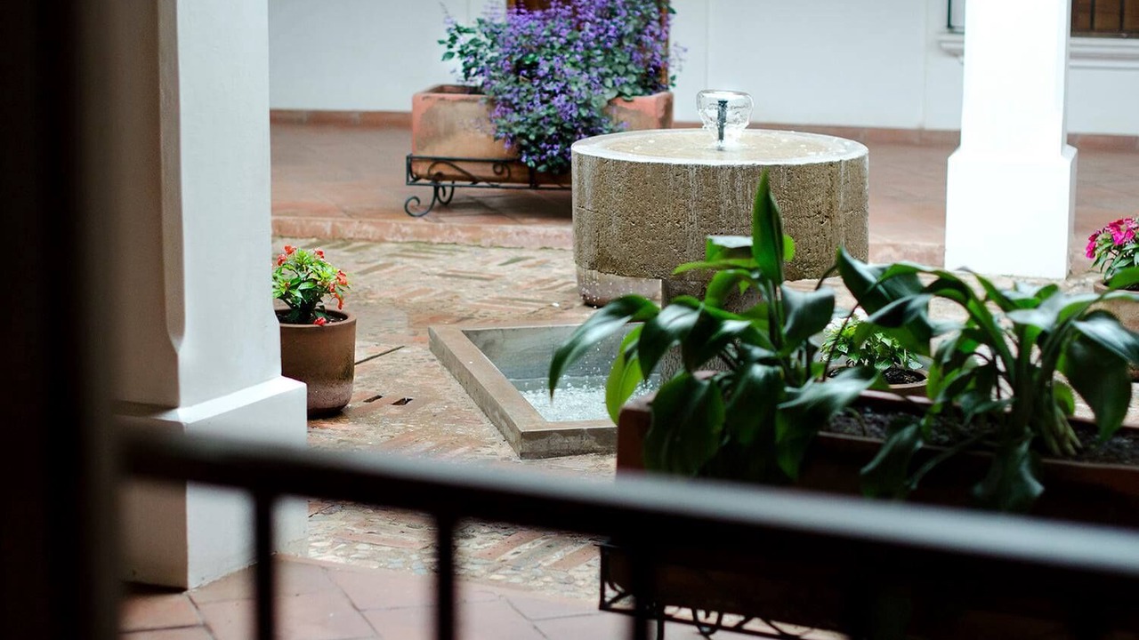 Photo of Outdoor in Mascota