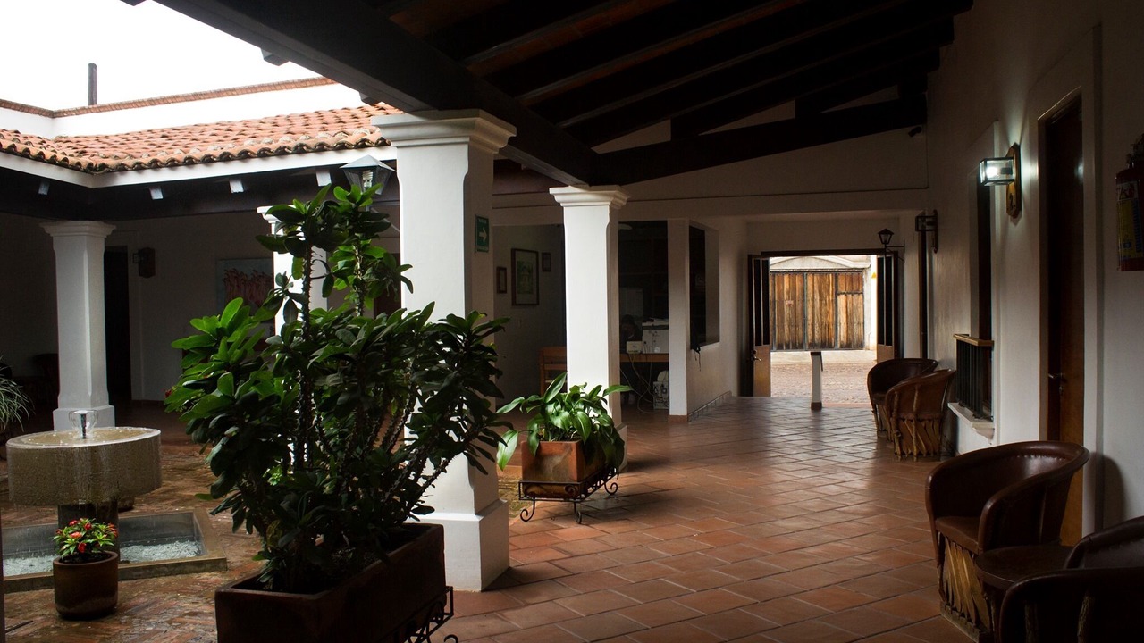 Photo of Others in Mascota