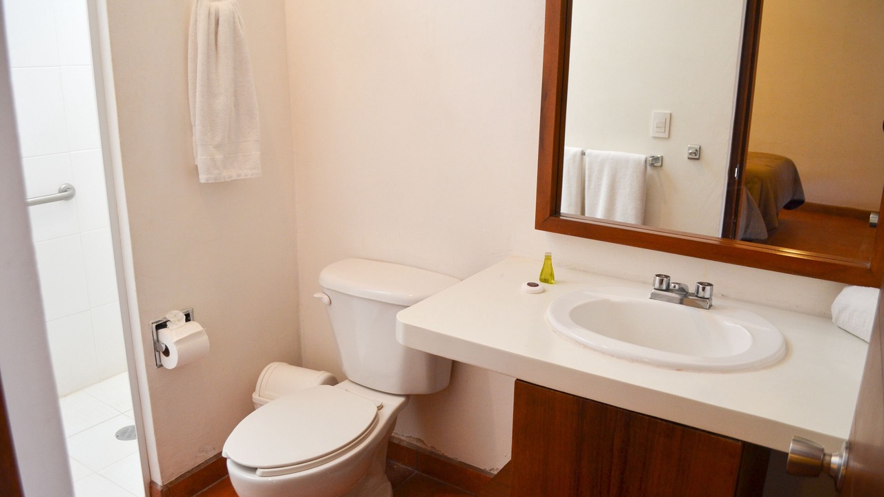 Photo of Bathroom in Mascota