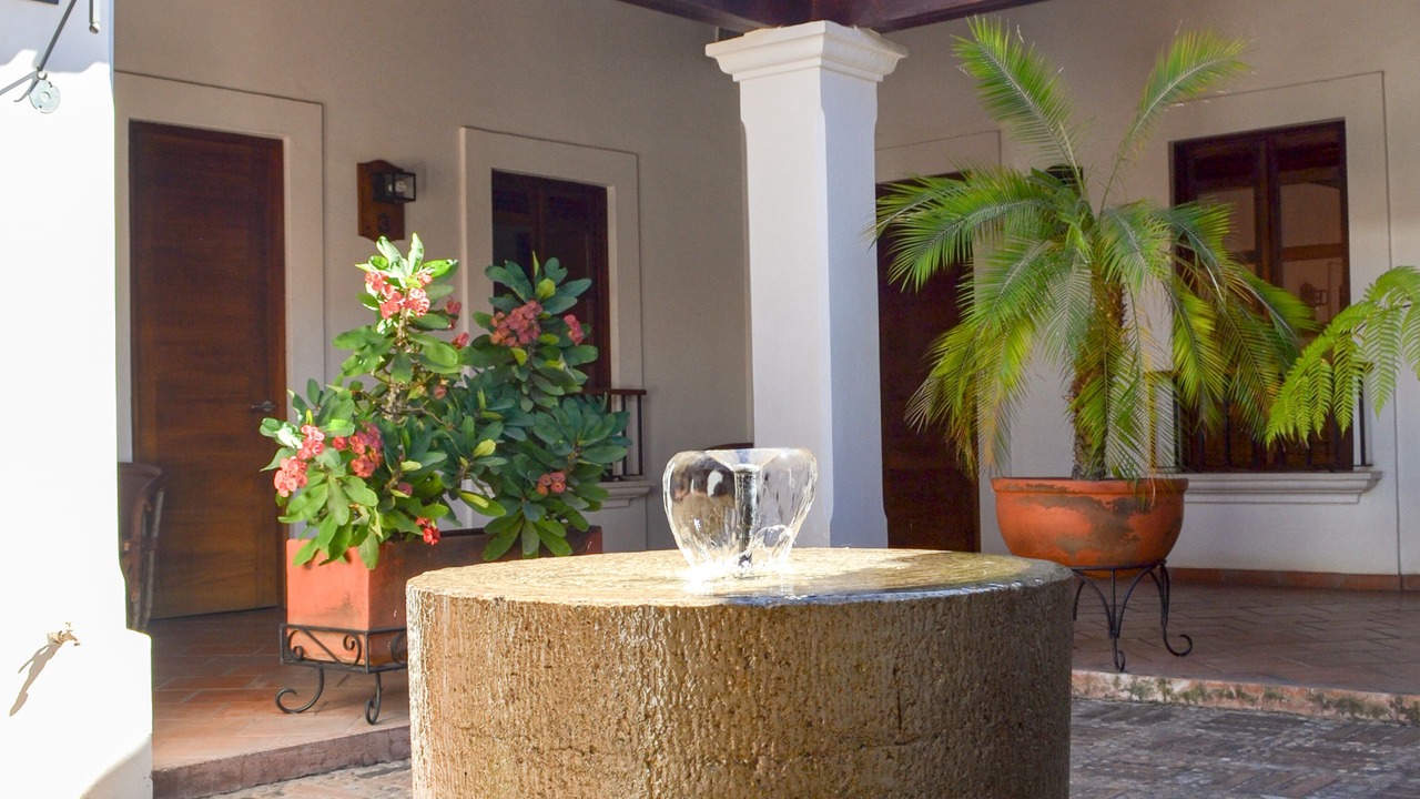Photo of Outdoor in Mascota