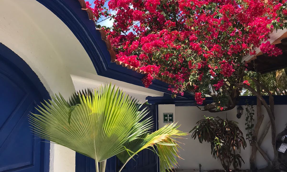 Photo of Outdoor in Punta Cancun