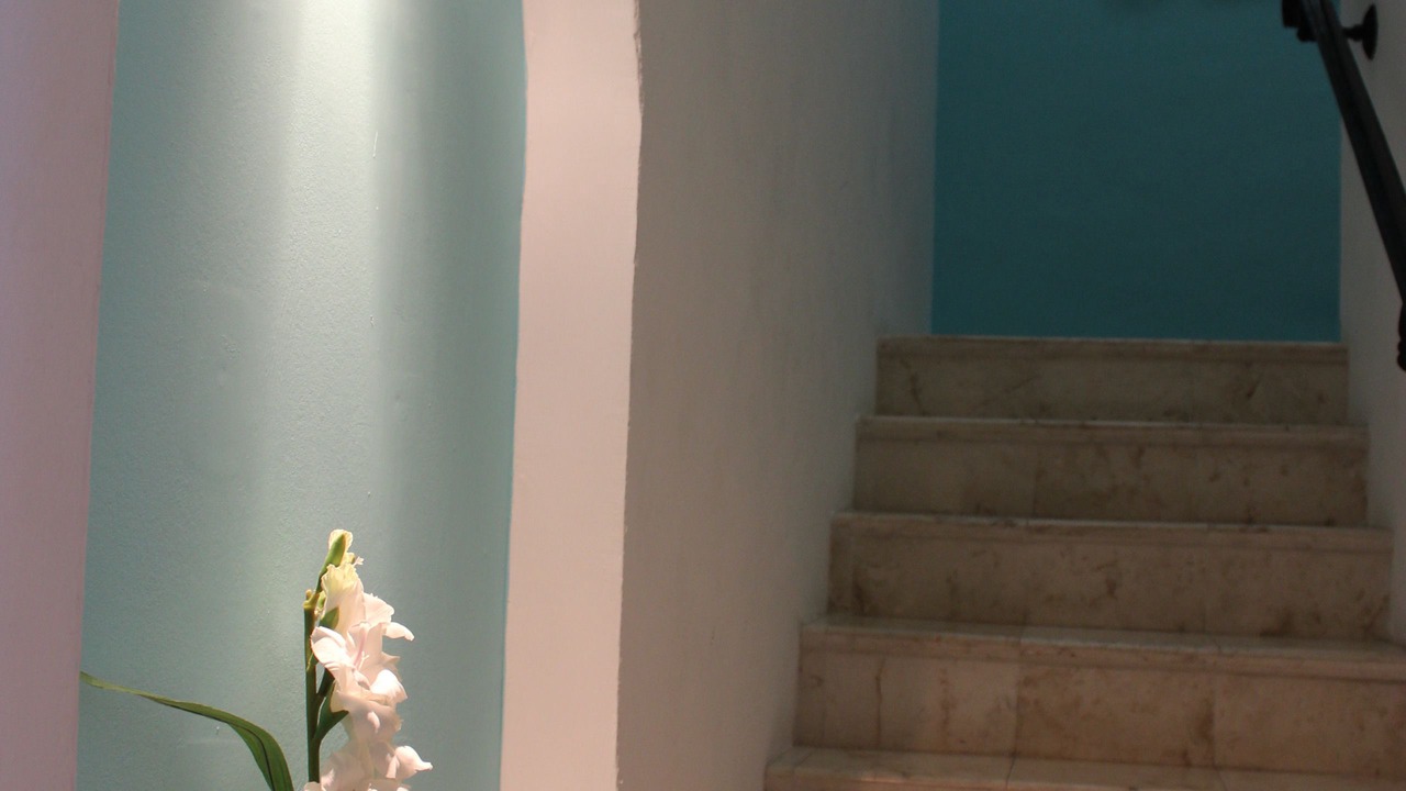 Photo of Others in Punta Cancun
