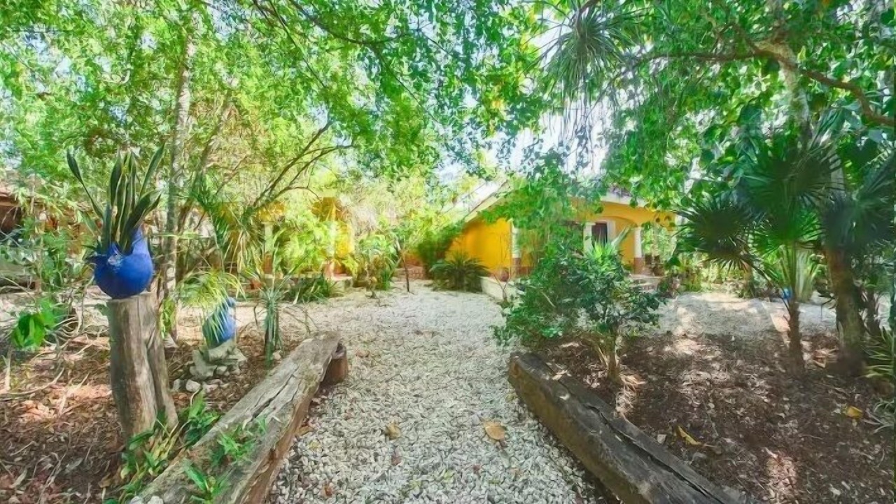 Photo of Outdoor in Akumal