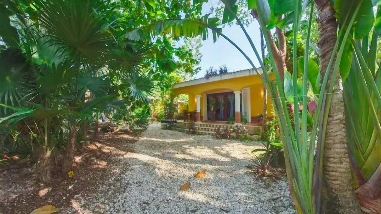 Photo of Outdoor in Akumal