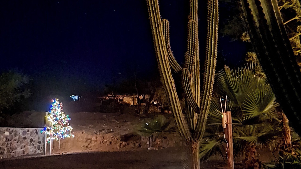 Photo of Others in El Triunfo